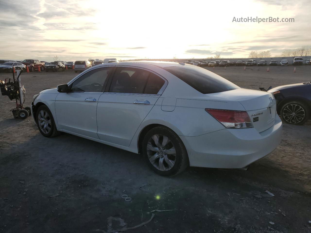 2009 Honda Accord Exl White vin: 1HGCP36809A017400