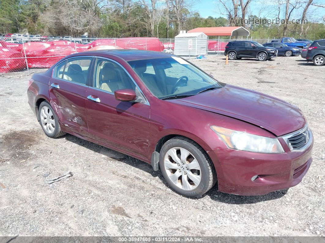 2008 Honda Accord 3.5 Ex-l Burgundy vin: 1HGCP36818A083288