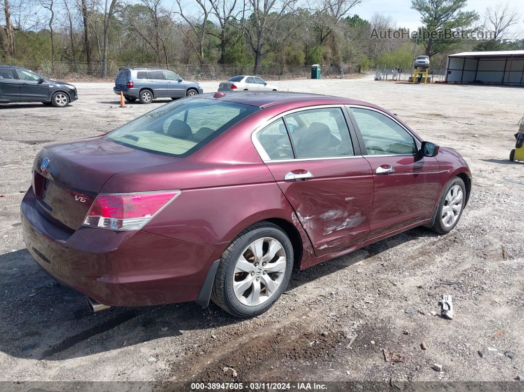 2008 Honda Accord 3.5 Ex-l Burgundy vin: 1HGCP36818A083288