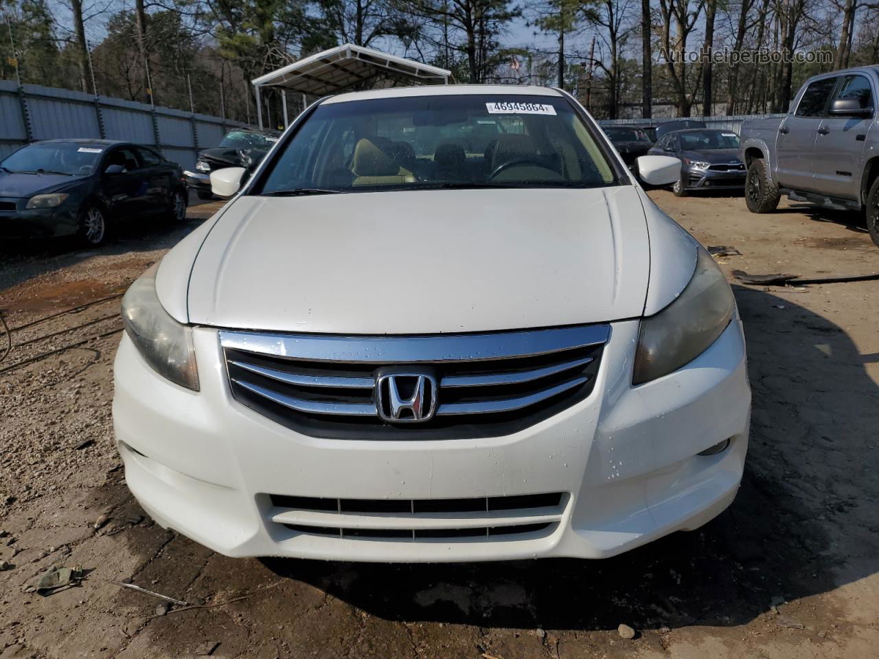 2009 Honda Accord Exl White vin: 1HGCP36819A048851