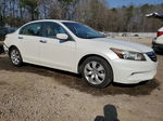 2009 Honda Accord Exl White vin: 1HGCP36819A048851