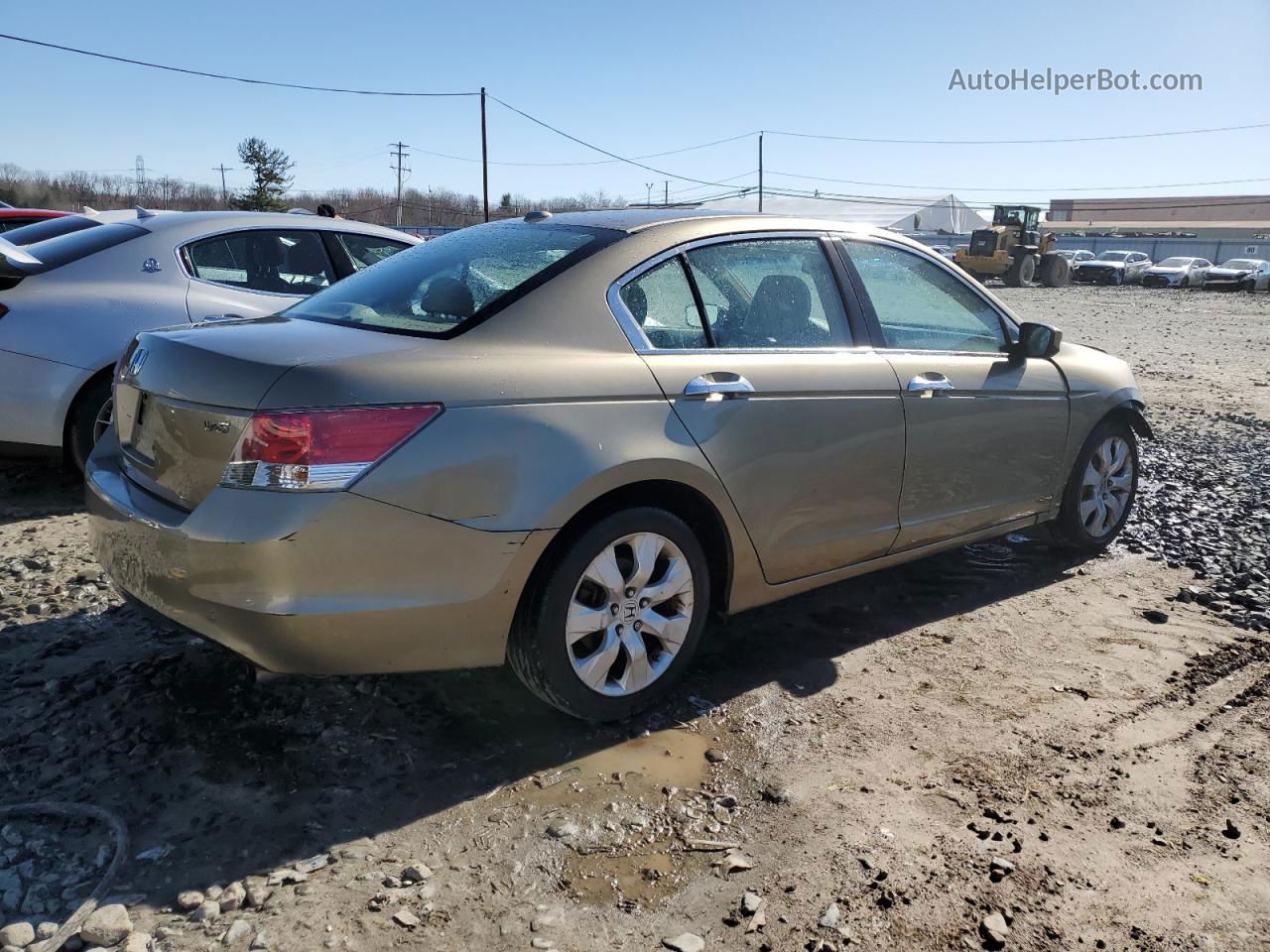 2008 Honda Accord Exl Tan vin: 1HGCP36828A005196