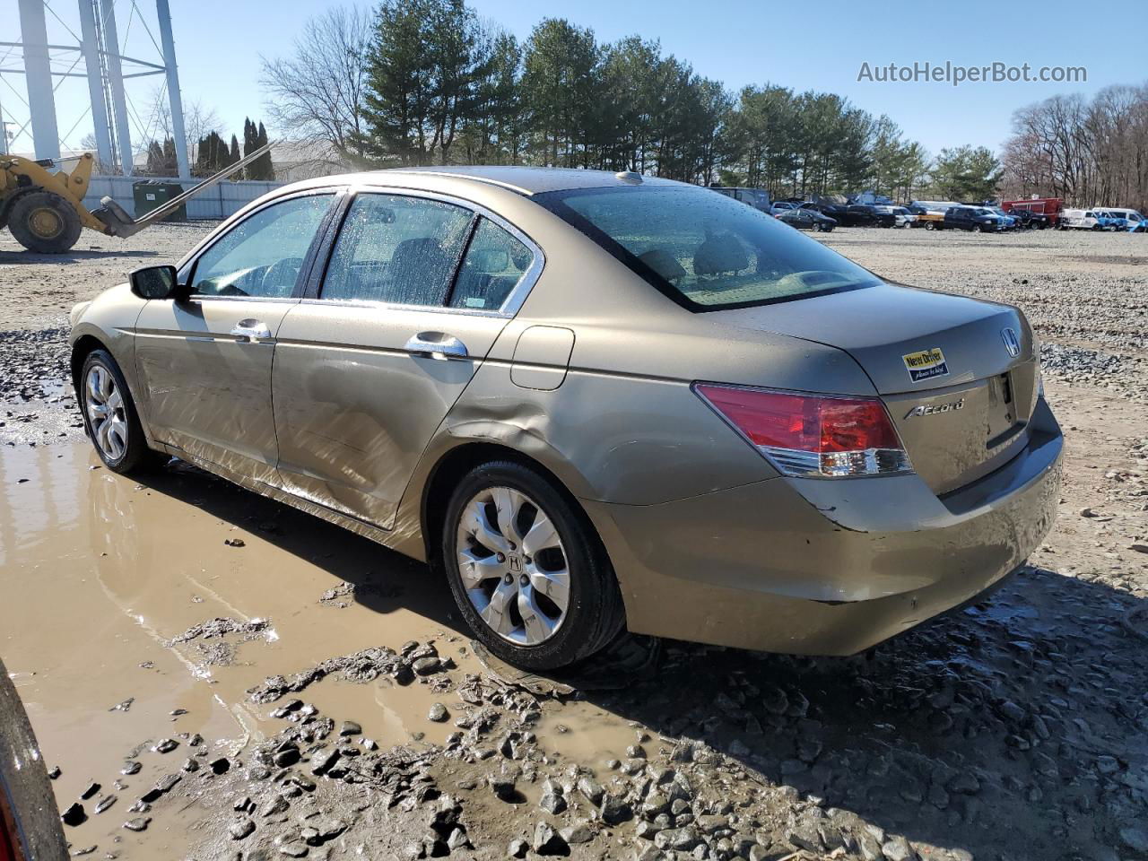 2008 Honda Accord Exl Tan vin: 1HGCP36828A005196