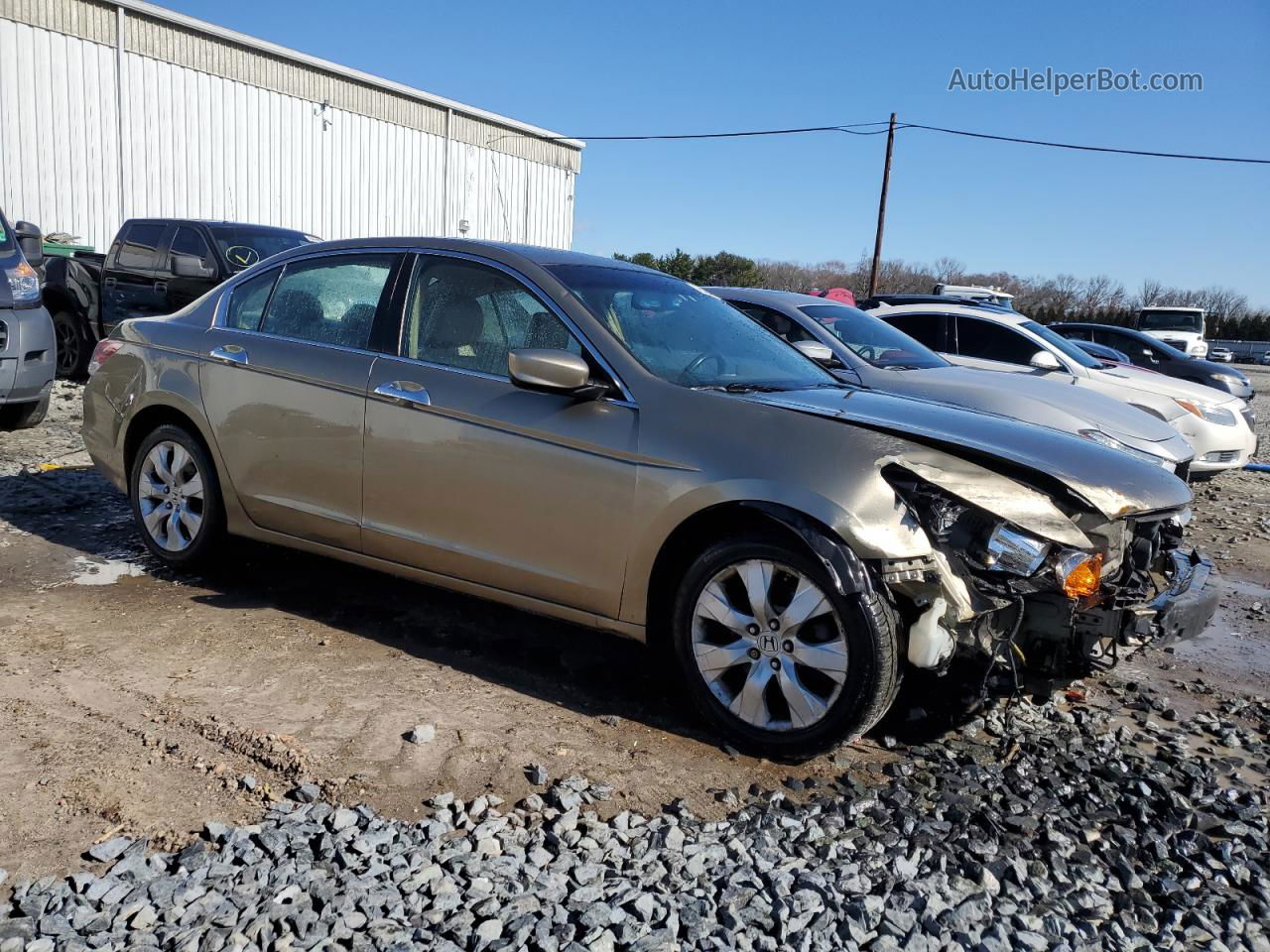 2008 Honda Accord Exl Tan vin: 1HGCP36828A005196