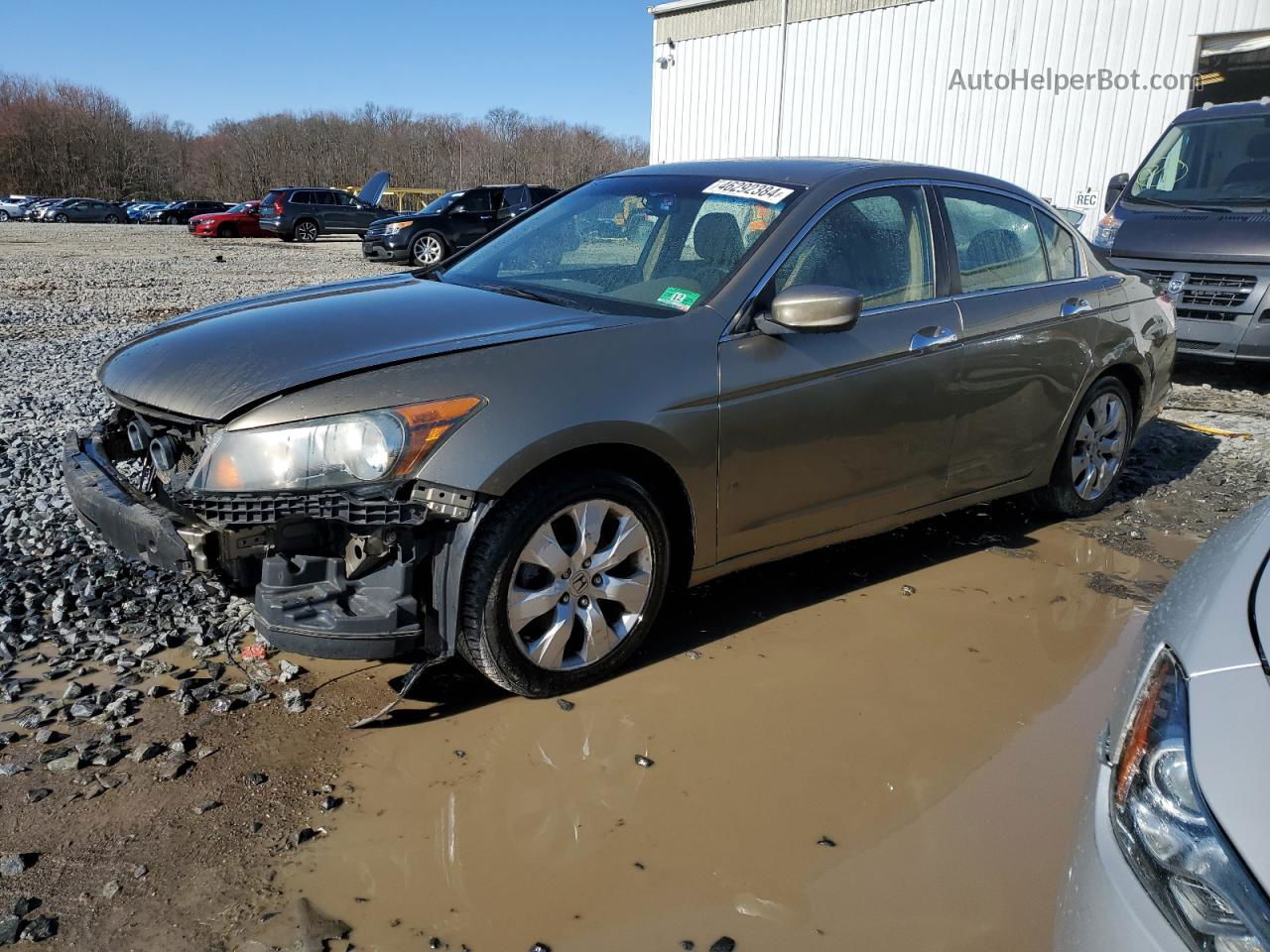 2008 Honda Accord Exl Tan vin: 1HGCP36828A005196