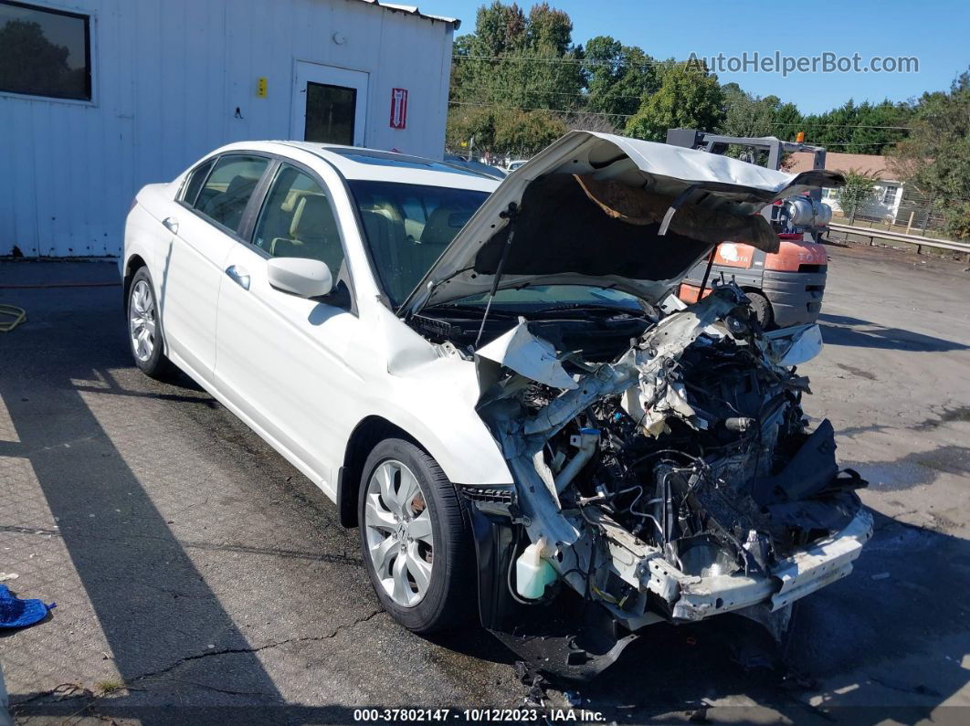 2008 Honda Accord Sdn Ex-l White vin: 1HGCP36828A047447