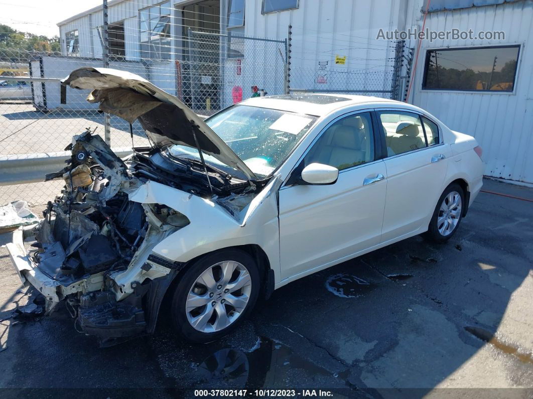 2008 Honda Accord Sdn Ex-l White vin: 1HGCP36828A047447