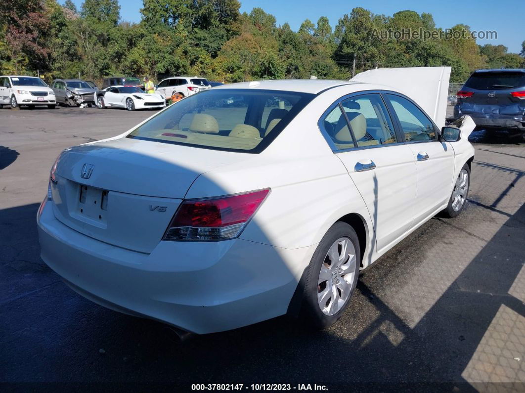 2008 Honda Accord Sdn Ex-l White vin: 1HGCP36828A047447