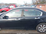 2008 Honda Accord Sdn Ex-l Black vin: 1HGCP36828A064426