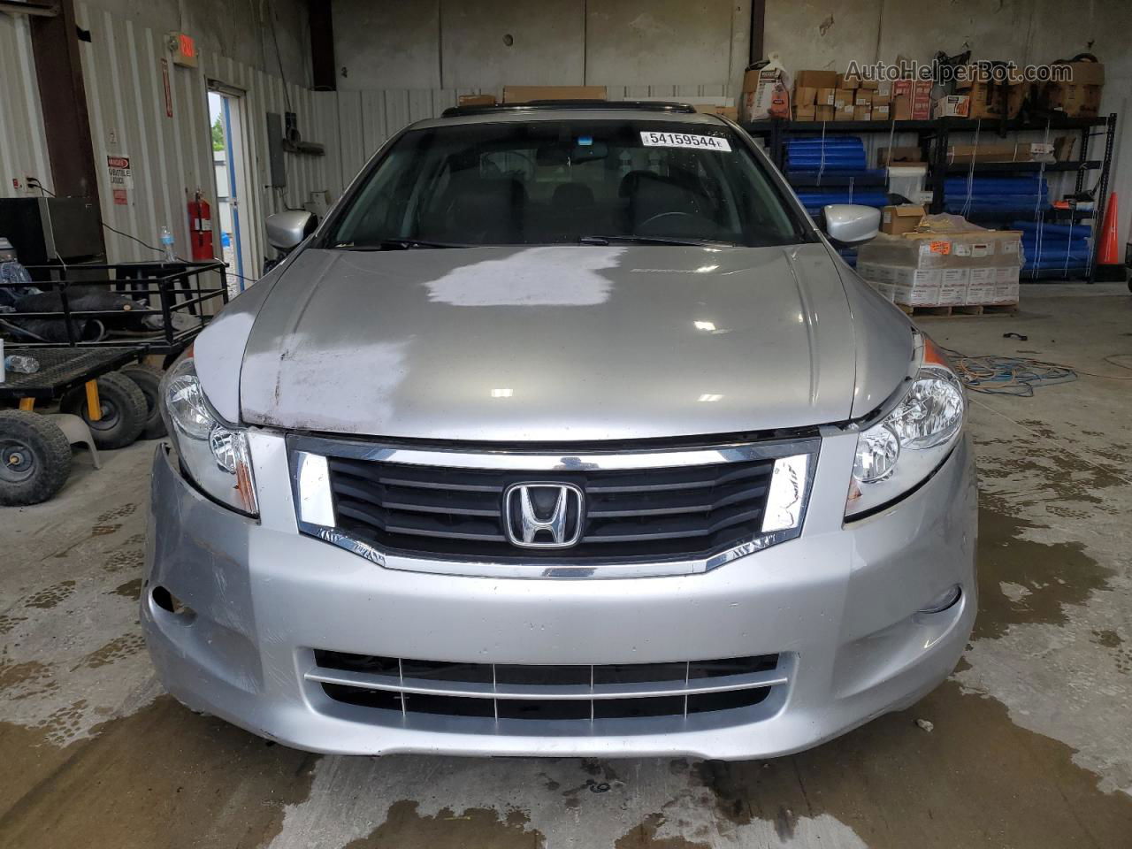 2009 Honda Accord Exl Silver vin: 1HGCP36829A022601