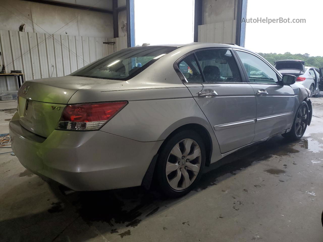 2009 Honda Accord Exl Silver vin: 1HGCP36829A022601