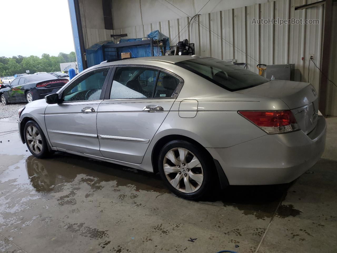 2009 Honda Accord Exl Silver vin: 1HGCP36829A022601