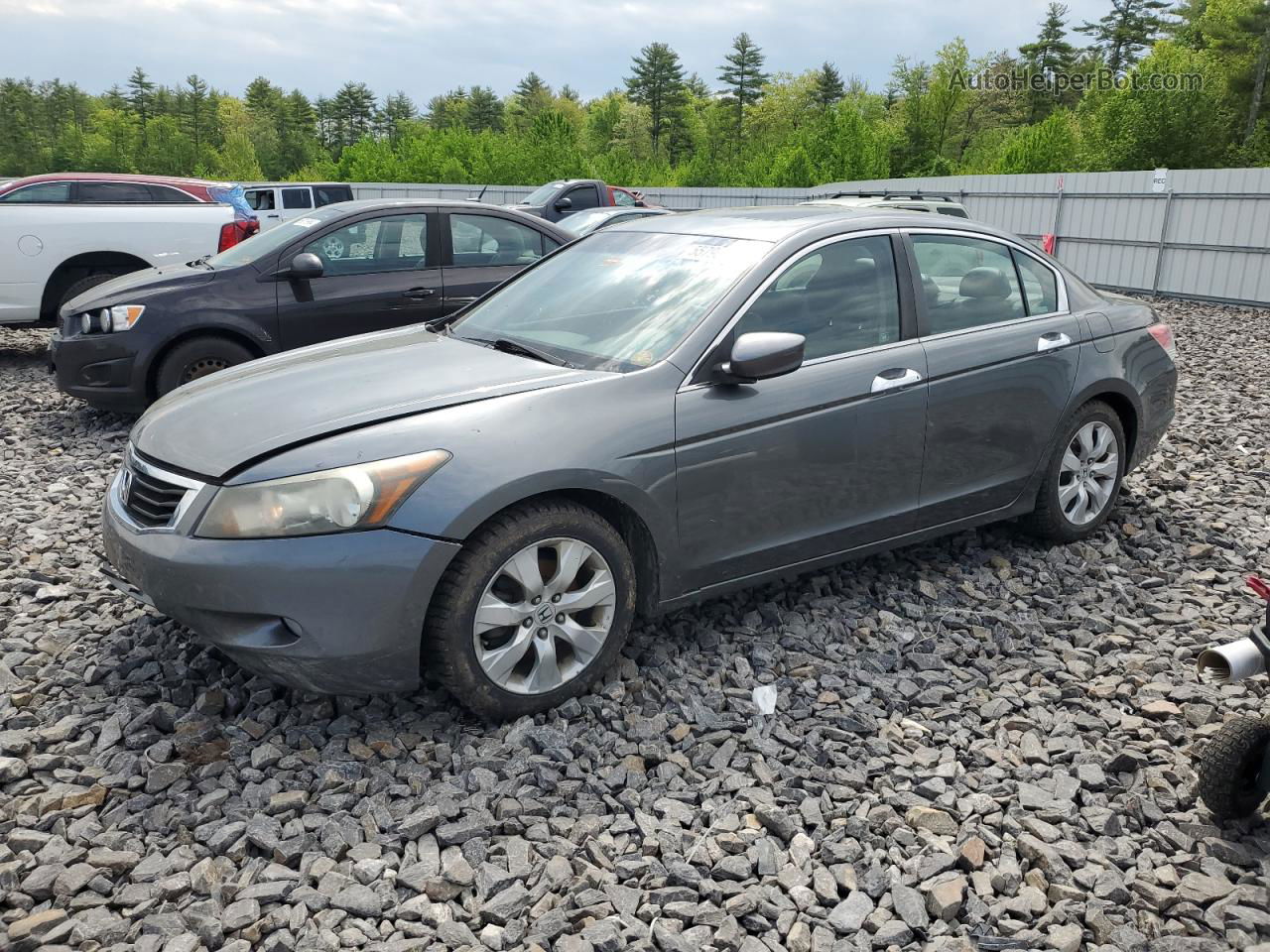 2009 Honda Accord Exl Gray vin: 1HGCP36829A032142