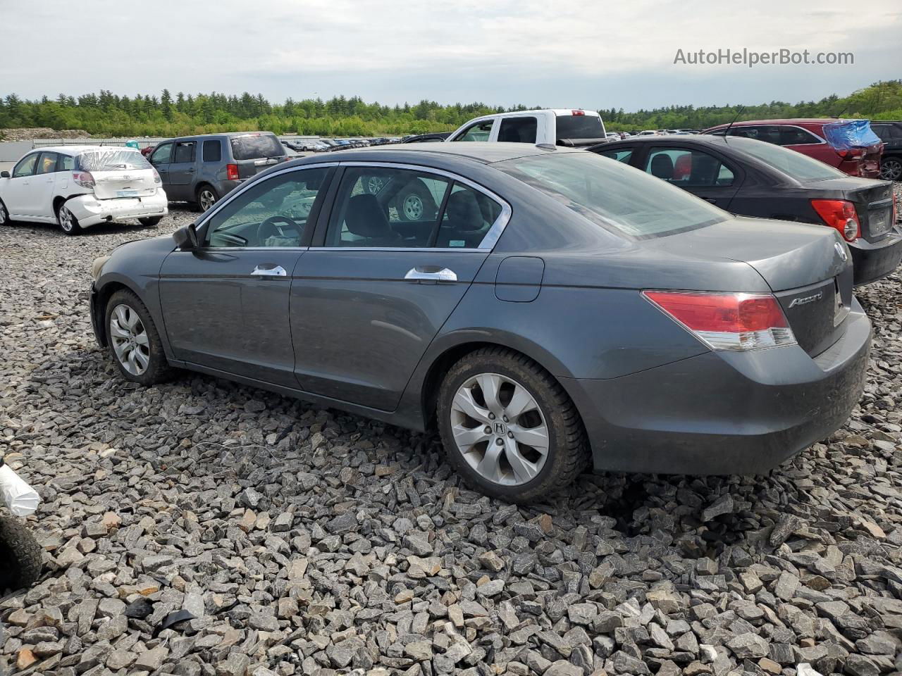 2009 Honda Accord Exl Серый vin: 1HGCP36829A032142