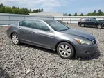 2009 Honda Accord Exl Gray vin: 1HGCP36829A032142