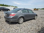 2009 Honda Accord Exl Серый vin: 1HGCP36829A032142