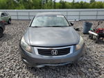 2009 Honda Accord Exl Серый vin: 1HGCP36829A032142