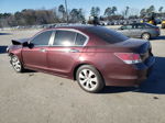 2009 Honda Accord Exl Burgundy vin: 1HGCP36829A051015