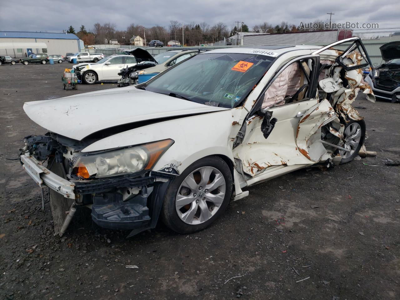 2008 Honda Accord Exl White vin: 1HGCP36838A037929