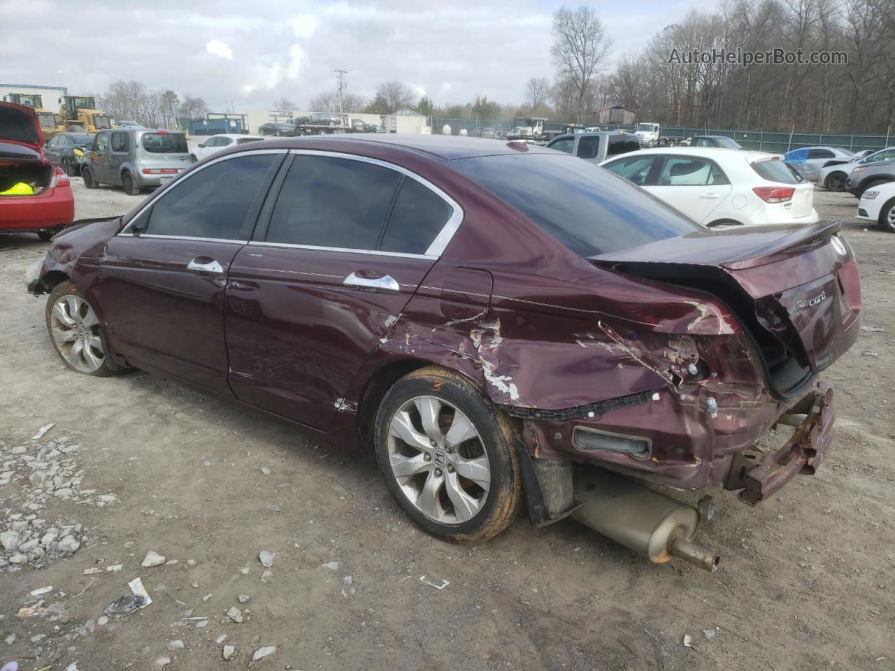 2009 Honda Accord Exl Red vin: 1HGCP36839A014295