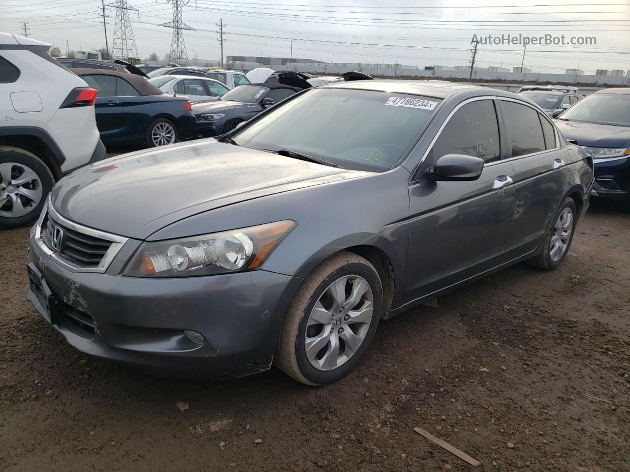 2009 Honda Accord Exl Gray vin: 1HGCP36839A019254