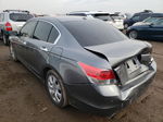 2009 Honda Accord Exl Gray vin: 1HGCP36839A019254