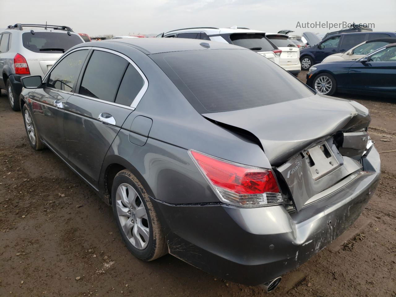 2009 Honda Accord Exl Gray vin: 1HGCP36839A019254