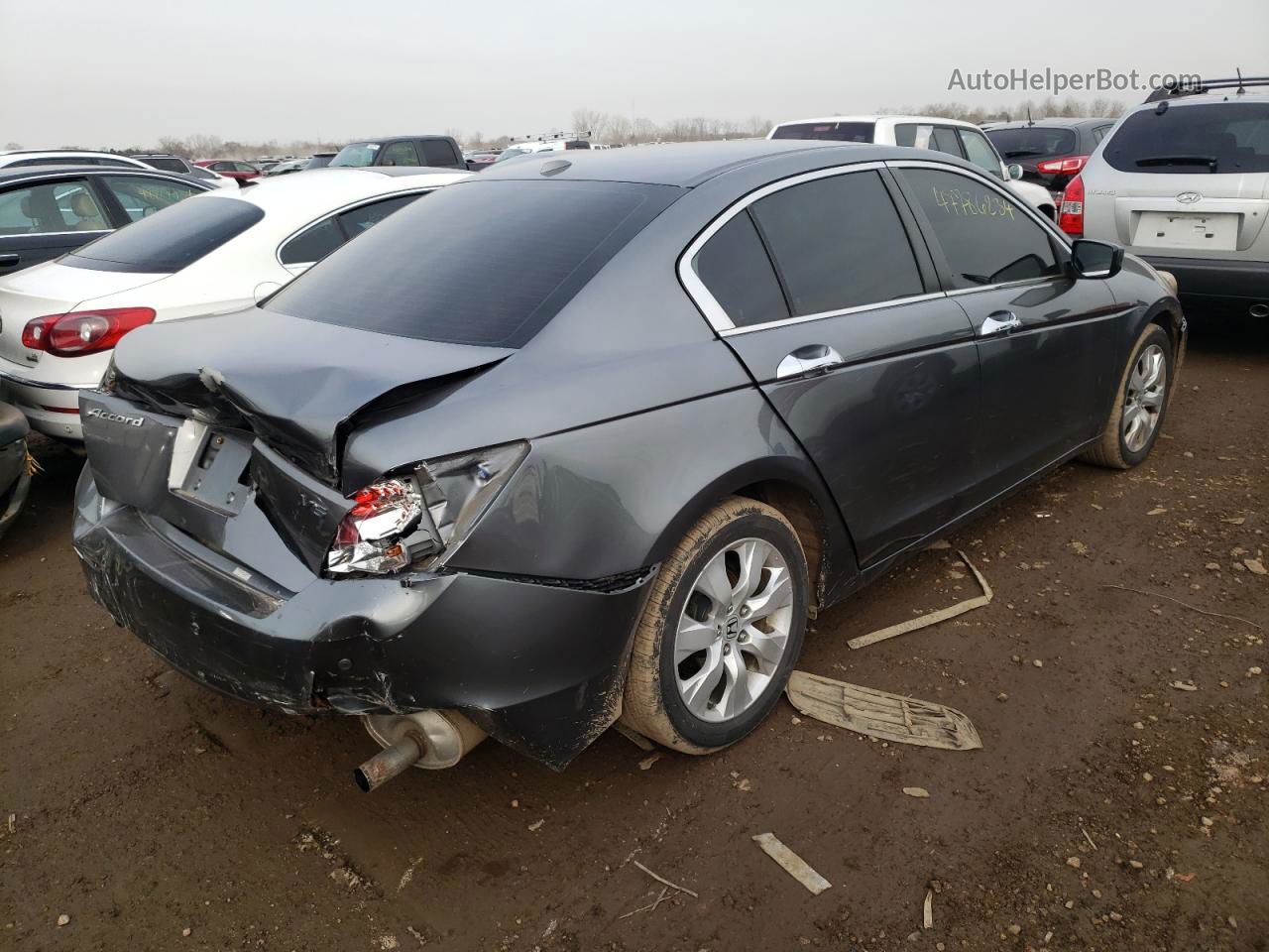 2009 Honda Accord Exl Gray vin: 1HGCP36839A019254