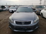 2009 Honda Accord Exl Gray vin: 1HGCP36839A019254