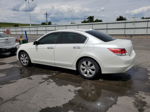 2009 Honda Accord Exl Белый vin: 1HGCP36839A049113