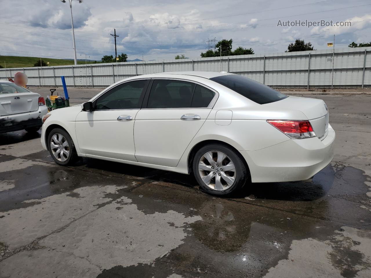 2009 Honda Accord Exl White vin: 1HGCP36839A049113