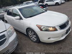 2008 Honda Accord Sdn Ex-l Белый vin: 1HGCP36848A006530