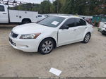 2008 Honda Accord 3.5 Ex-l White vin: 1HGCP36848A069949