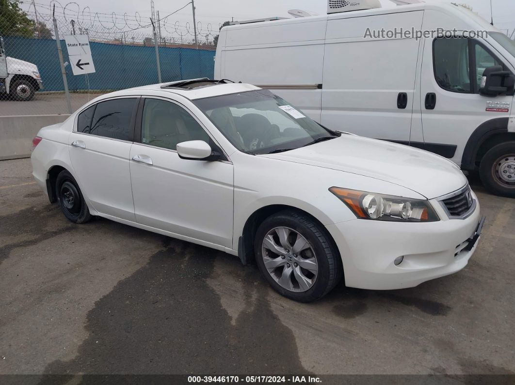 2008 Honda Accord 3.5 Ex-l White vin: 1HGCP36848A084144