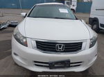 2008 Honda Accord 3.5 Ex-l White vin: 1HGCP36848A084144