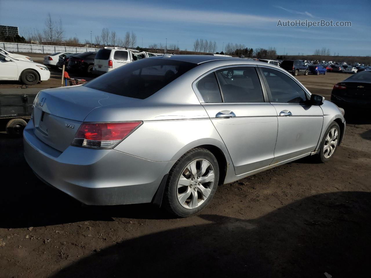 2008 Honda Accord Exl Silver vin: 1HGCP36848A801674