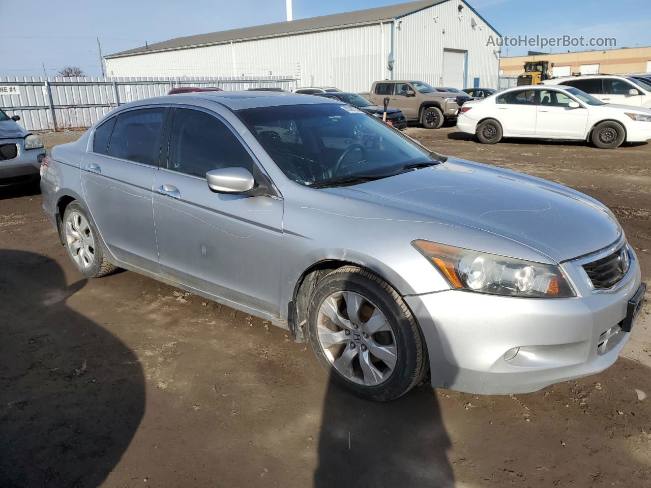 2008 Honda Accord Exl Silver vin: 1HGCP36848A801674