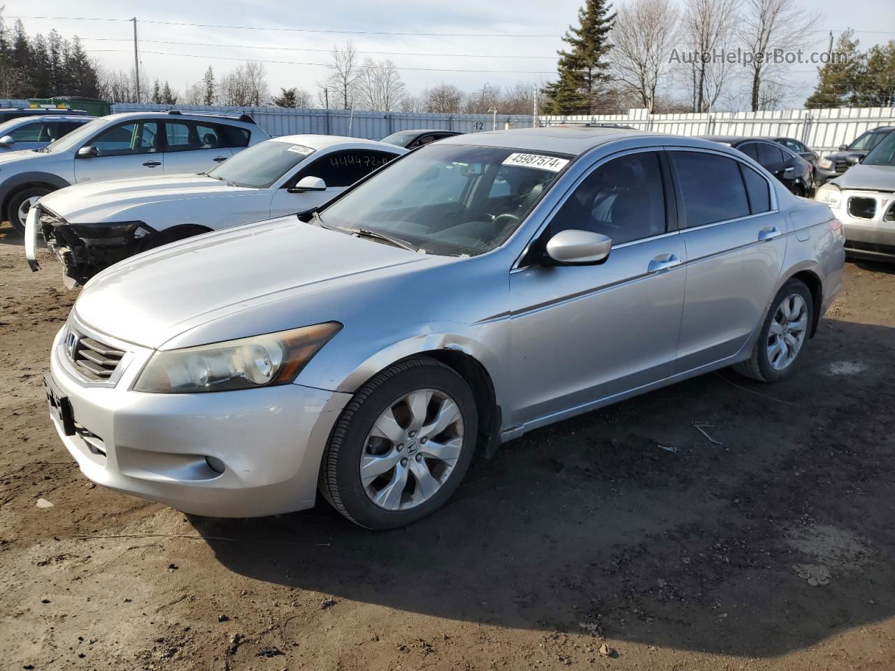 2008 Honda Accord Exl Silver vin: 1HGCP36848A801674