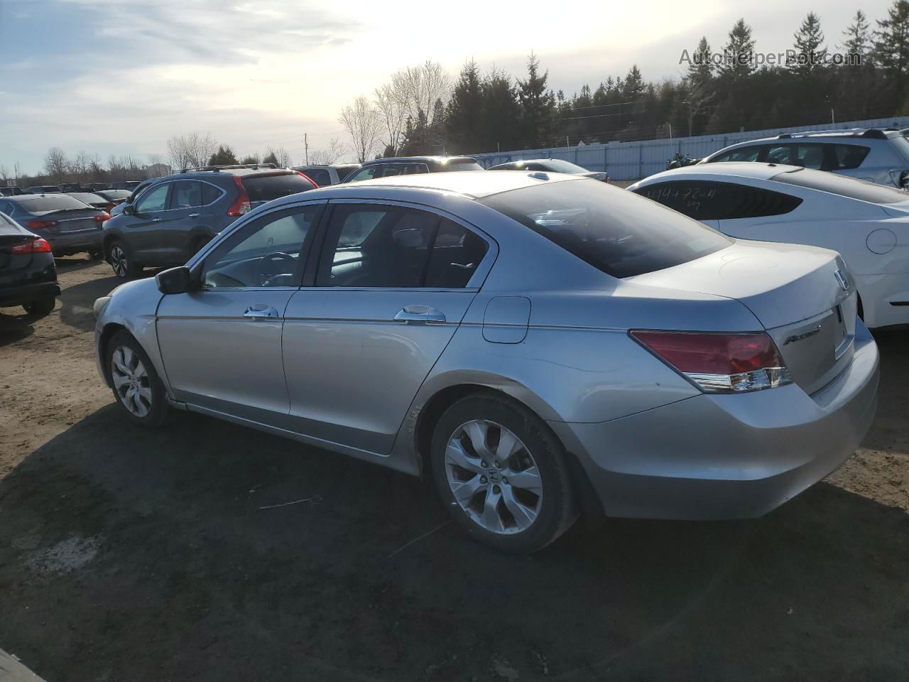 2008 Honda Accord Exl Silver vin: 1HGCP36848A801674