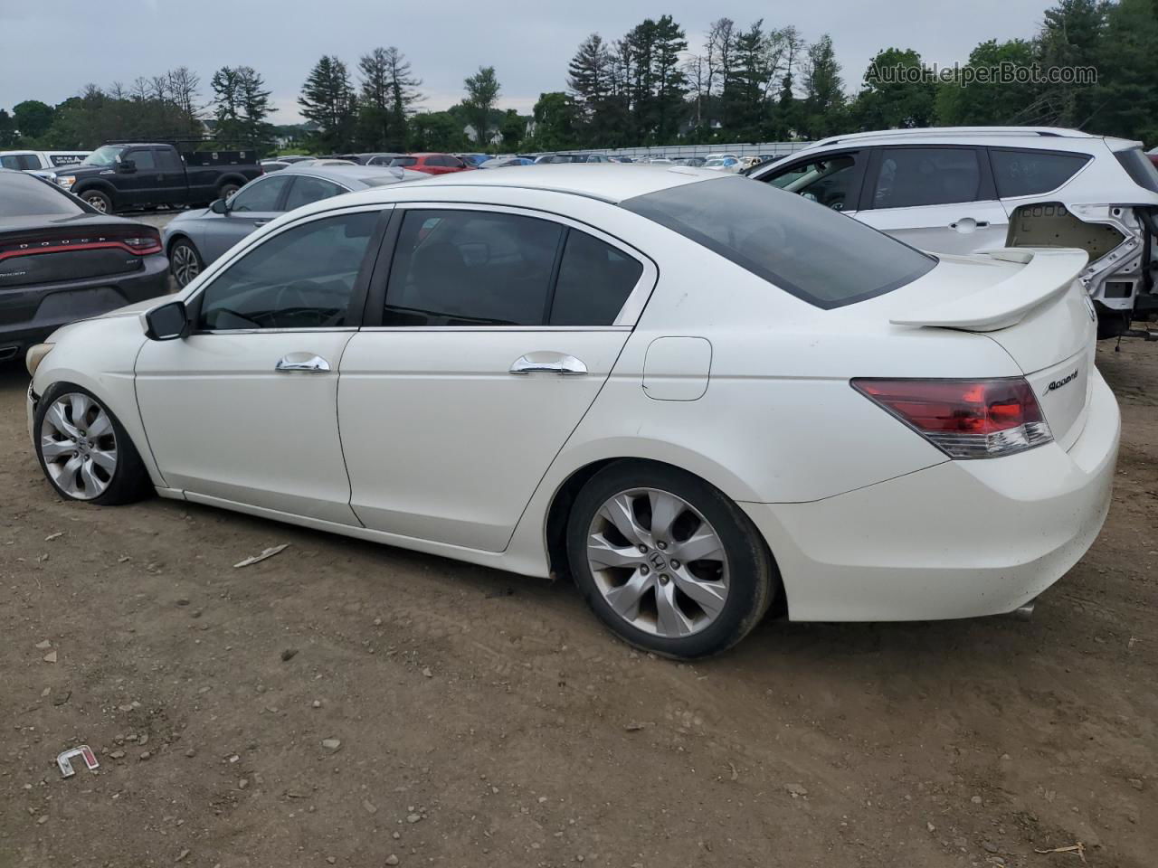 2009 Honda Accord Exl White vin: 1HGCP36849A043109