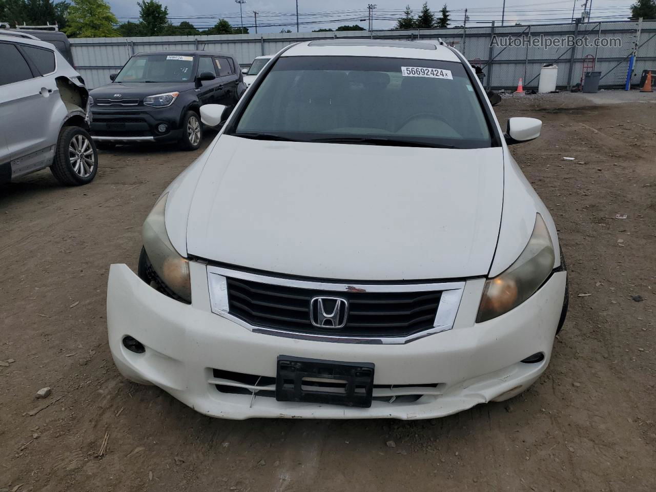 2009 Honda Accord Exl White vin: 1HGCP36849A043109