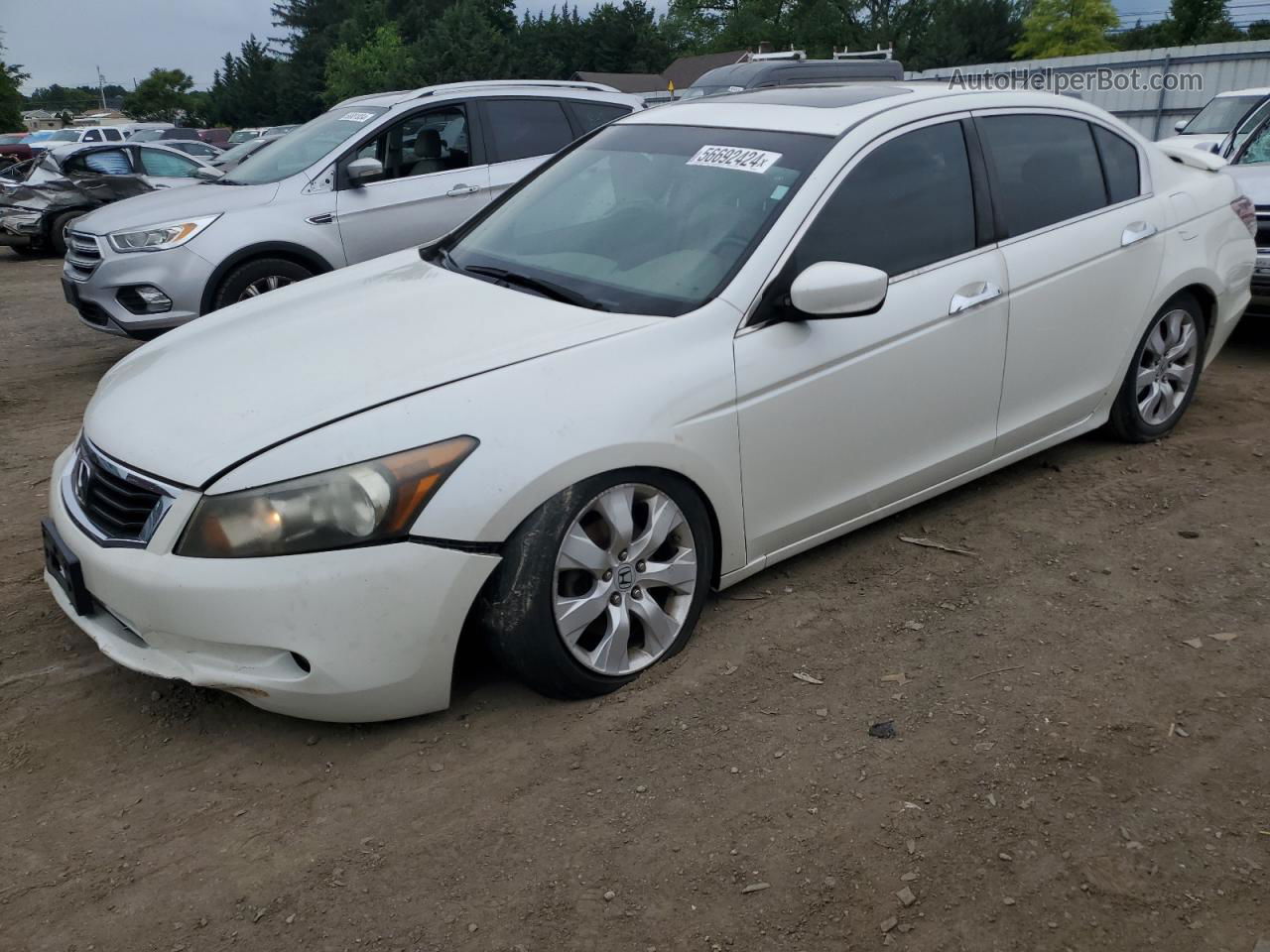 2009 Honda Accord Exl White vin: 1HGCP36849A043109