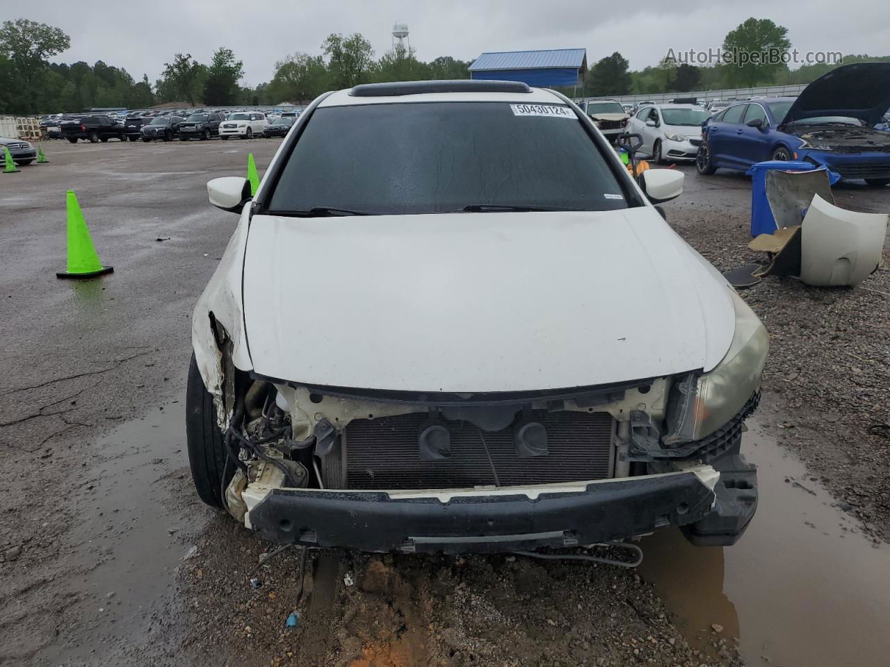 2009 Honda Accord Exl White vin: 1HGCP36849A047614