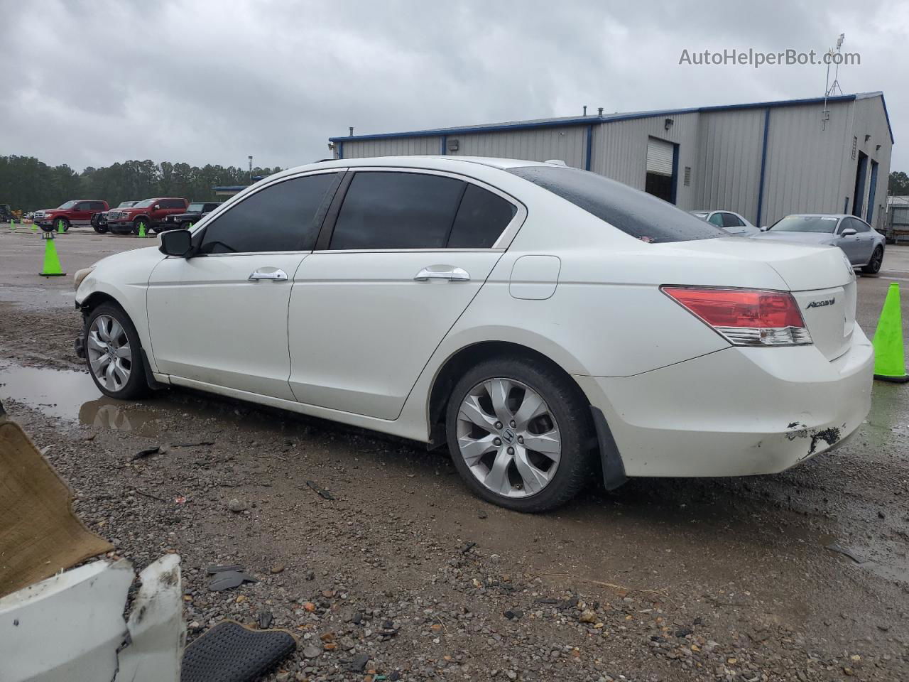 2009 Honda Accord Exl White vin: 1HGCP36849A047614