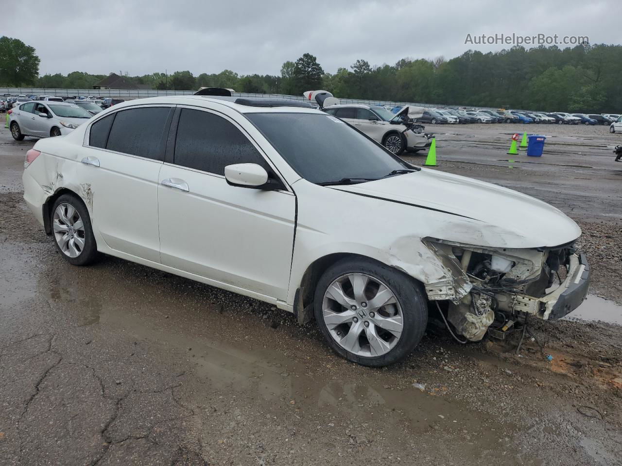 2009 Honda Accord Exl White vin: 1HGCP36849A047614