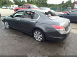 2008 Honda Accord Sdn Ex-l Gray vin: 1HGCP36858A006567