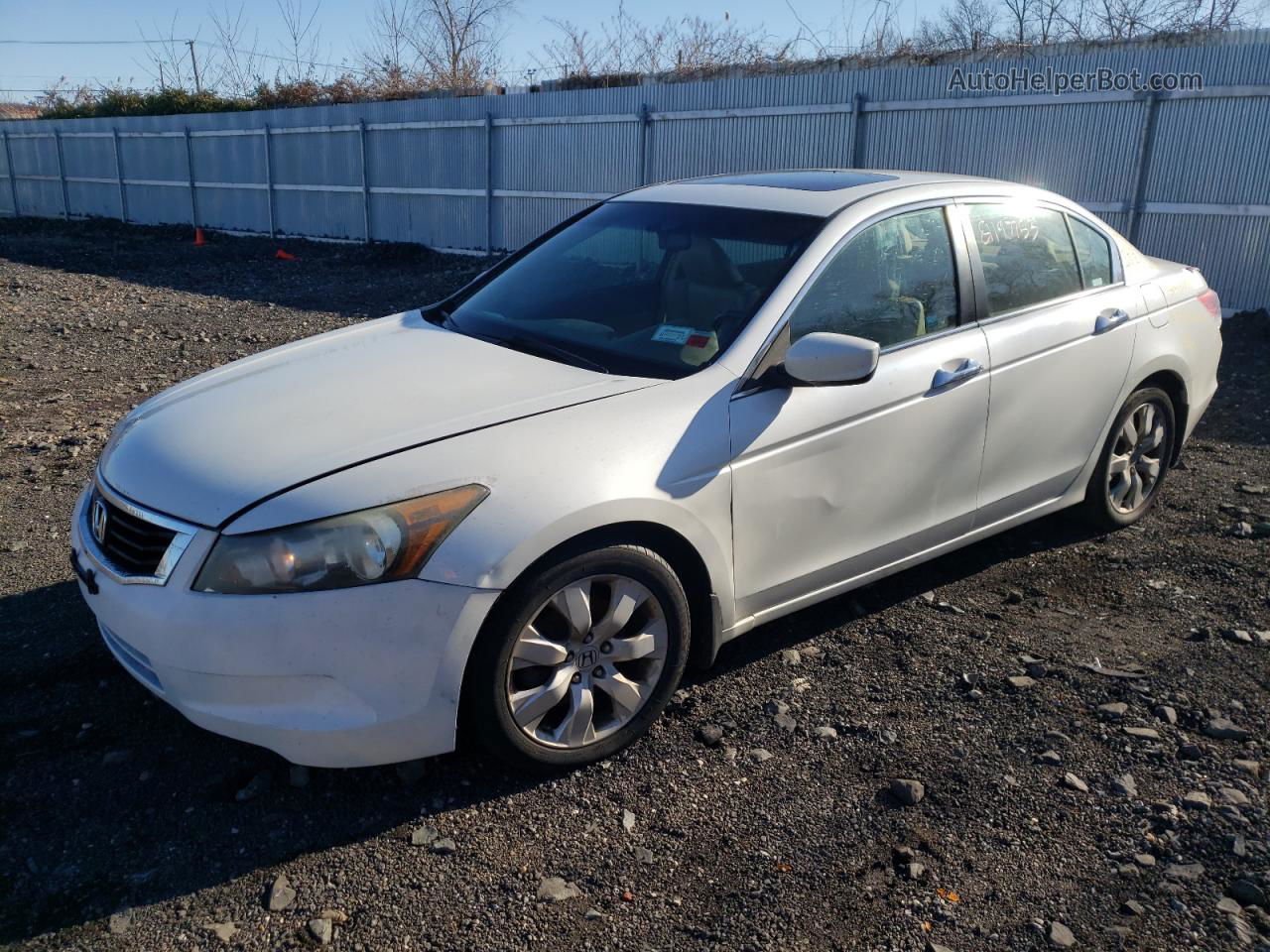 2009 Honda Accord Exl White vin: 1HGCP36859A003461