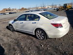 2009 Honda Accord Exl White vin: 1HGCP36859A003461