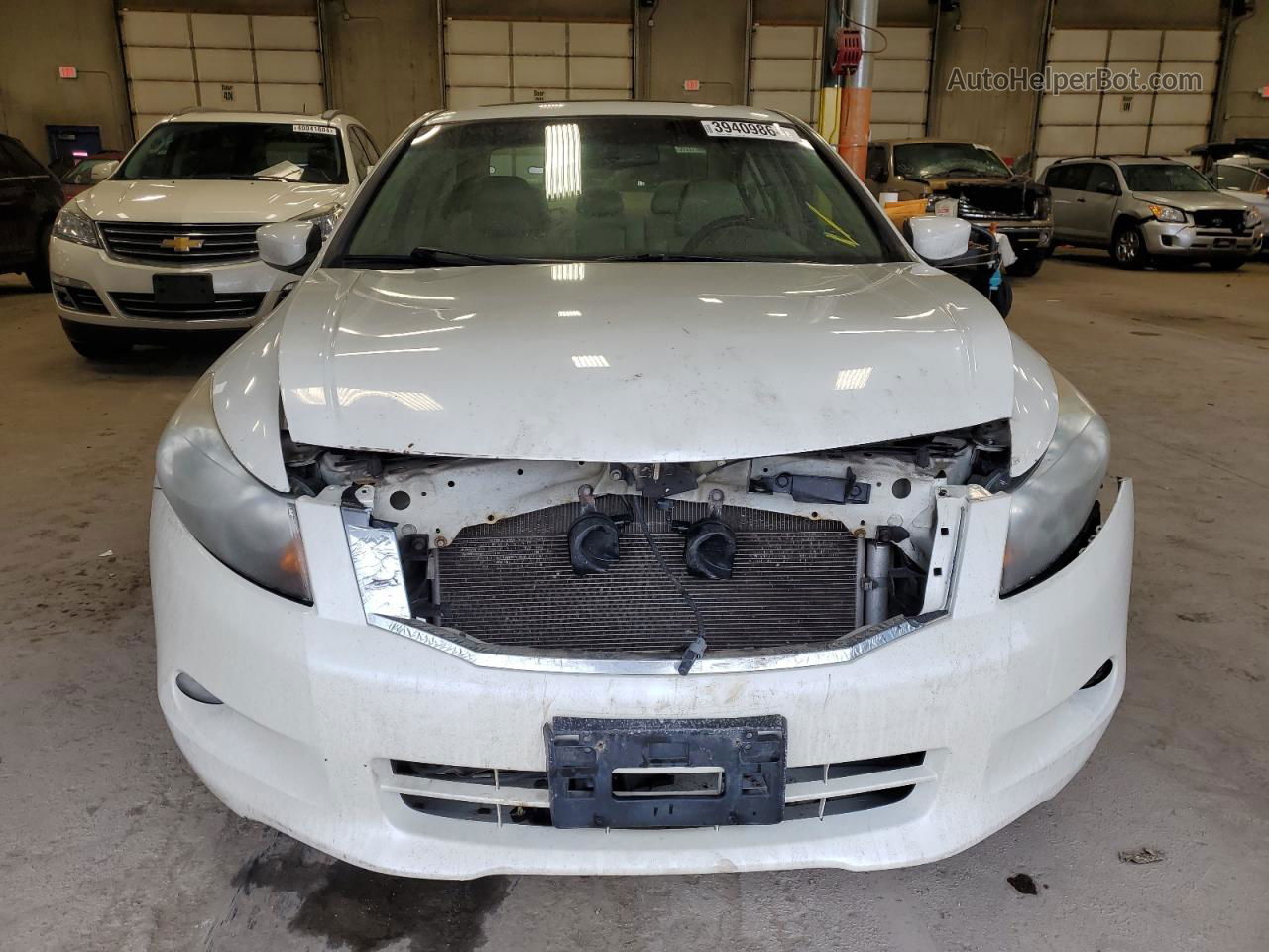 2009 Honda Accord Exl White vin: 1HGCP36859A011186