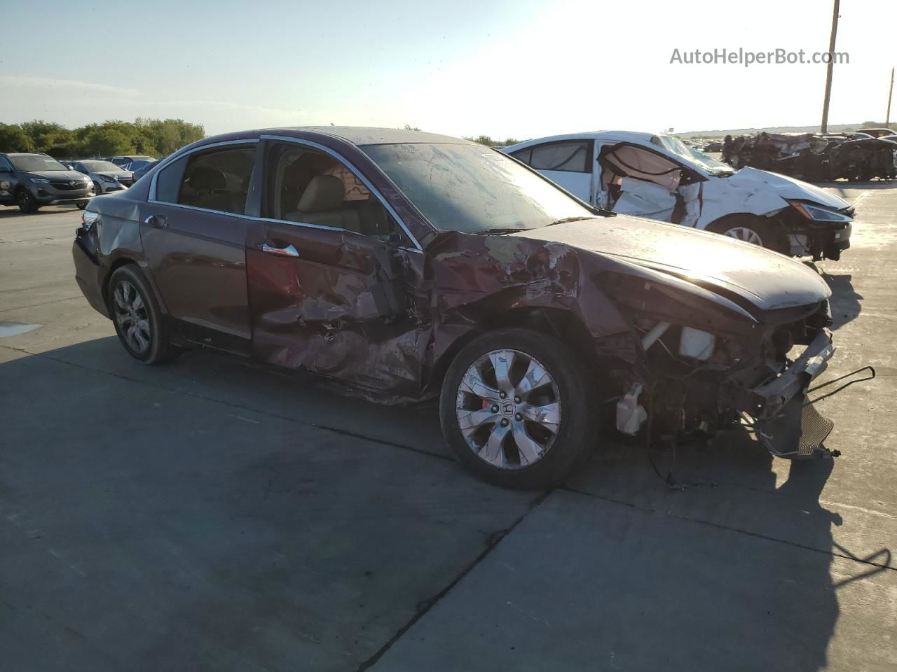 2009 Honda Accord Exl Burgundy vin: 1HGCP36859A038713